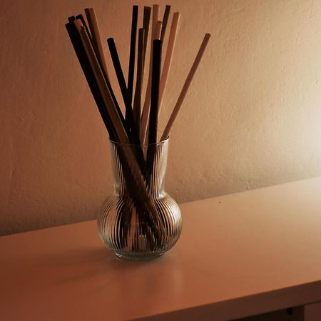 Apartment Dalla Mirella Firenze Esterno foto